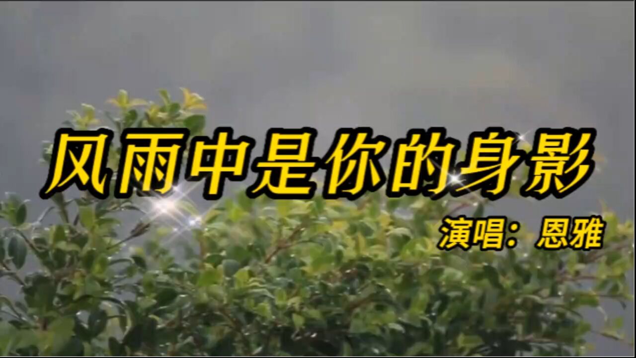 风雨中是你的身影_高清1080P在线观看平台_腾讯视频