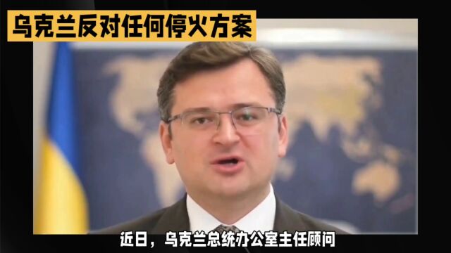 乌克兰为什么反对一切停火方案?更多内幕曝光