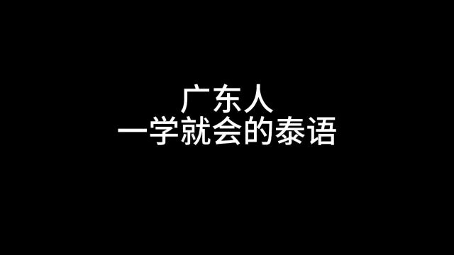 广东人一学就会的泰语 沙雕动画