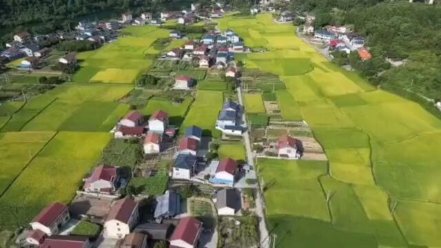 邻国相望,鸡犬相闻,民至老死,不相往来——老子