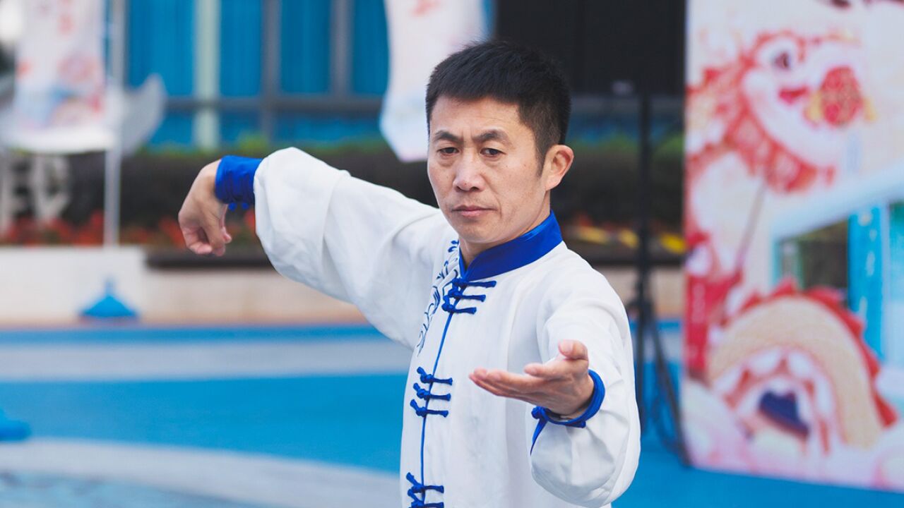 龙身蛇形太极拳邵长华华人拳心武学文化传播武术太极运动非遗传承人