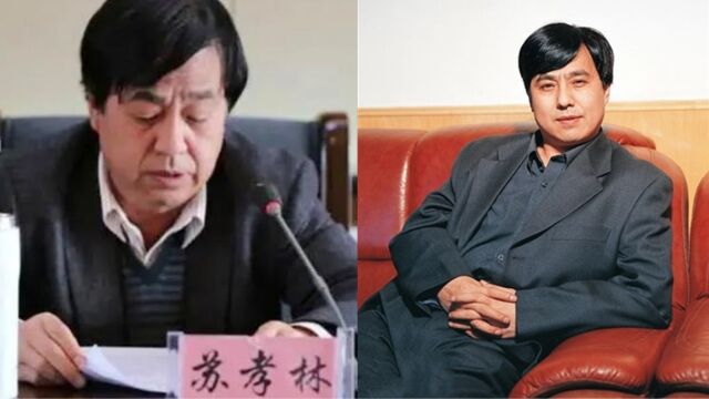 第二个胡继勇?国家一级演员苏孝林被立案调查,存在严重权色交易