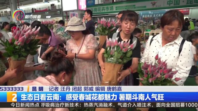 生态日看云南:感受春城花都魅力 暑期斗南人气旺