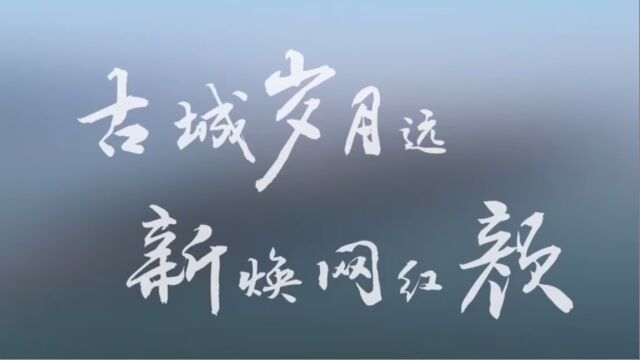 华中科技大学建筑与城市规划学院“古城岁月远 新焕网红颜”暑期社会实践活动