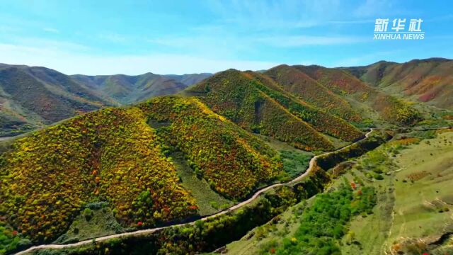 千城胜景丨宁夏西吉:胜景醉人 流连忘返