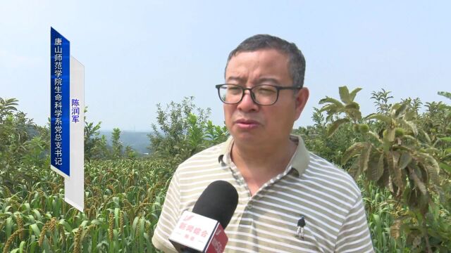 唐山师范学院:校地合作助力农民增产增收