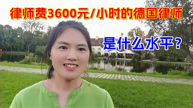 聊聊德国移民律师1:3600元每小时的德国律师,真实经历