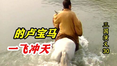 三国演义30:刘备以为必死无疑,不料的卢马一飞冲天,救了刘备一命!_高清1080P在线观看平台_腾讯视频