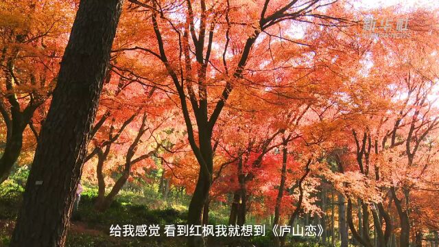 庐山花径:五彩流丹醉游客