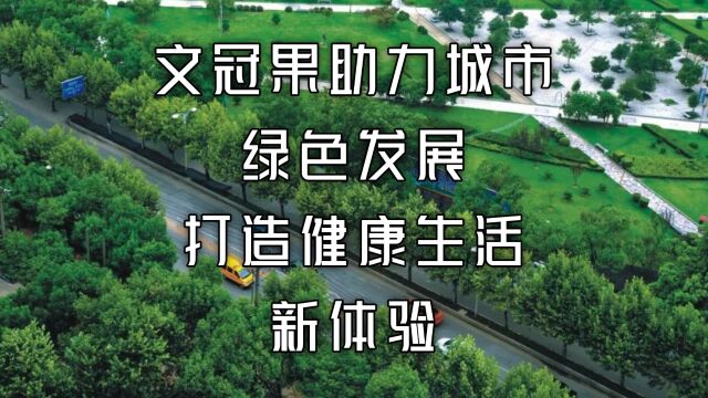 文冠果助力城市绿色发展,打造健康生活新体验!