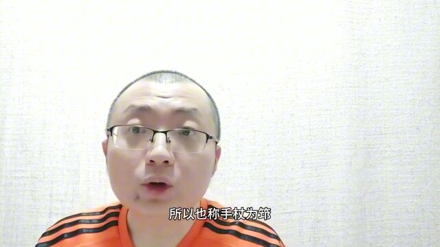 筇字的读音和意思是什么?