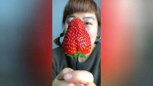 水果草莓棒棒糖