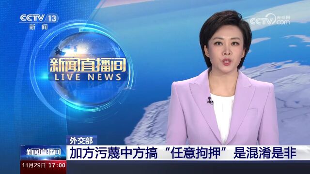 外交部 加方污蔑中方搞“任意拘押”是混淆是非