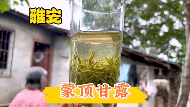 什么样的茶叶才是手工茶?试试这款蒙顶甘露就知道了