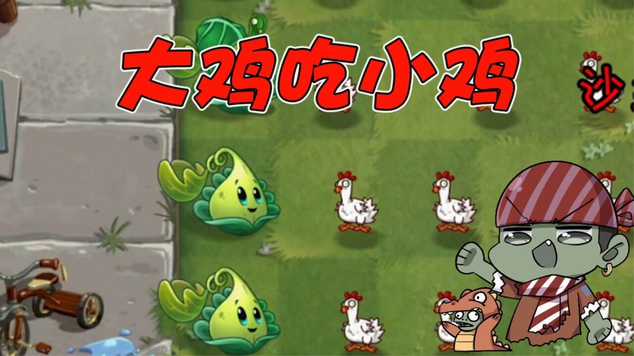 植物大战僵尸:大鸡遇上小鸡,哪种鸡更厉害呢?