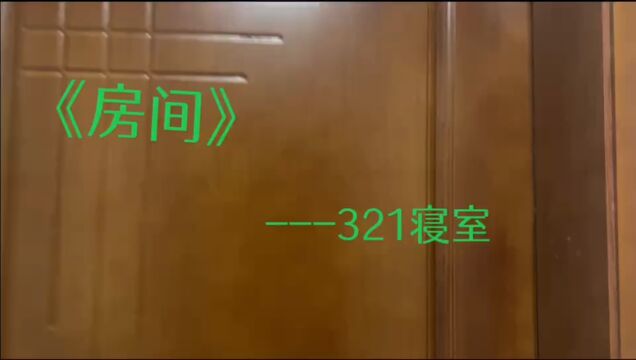 321好声音