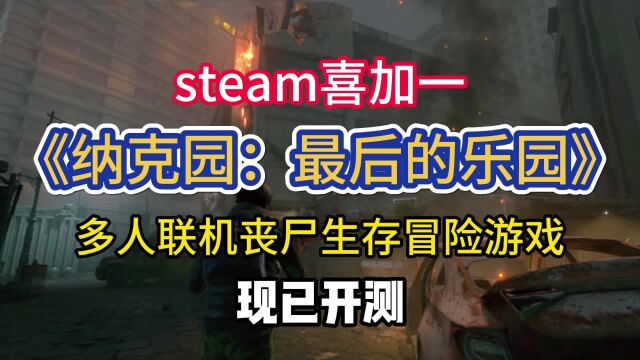 【Steam喜加一】纳克园最后的乐园免费玩,进不去/卡登录/没中文