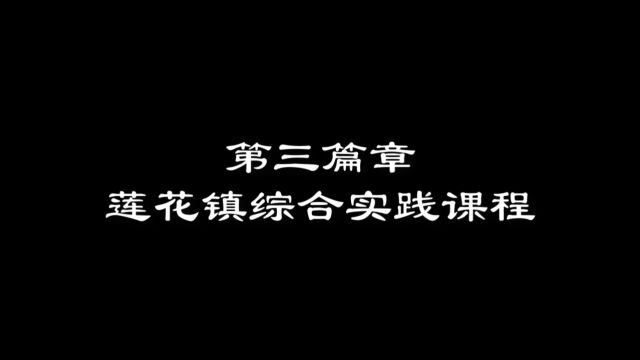 周南实验中学C2207初二上莲花镇综合实践课程