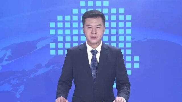 市委书记方正赴金寨县调研