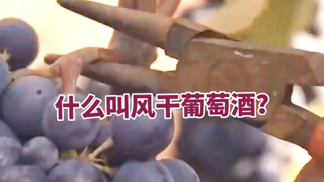 什么叫风干葡萄酒?意大利风干葡萄酒的标杆:阿玛罗尼