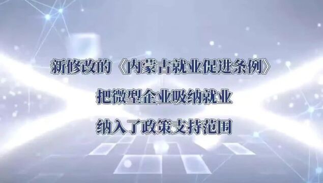 内蒙古将微型企业吸纳就业纳入政策支持范围