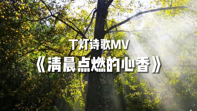 《清晨点燃的心香》——丁灯诗歌MV第三集新专辑(9)