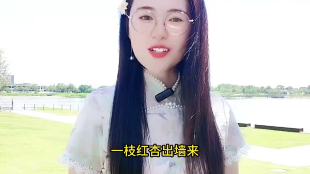 “一枝红杏出墙来”的上一句是什么?