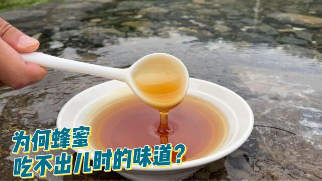 你有没有发现?现在的蜂蜜很难再吃出儿时的味道了?