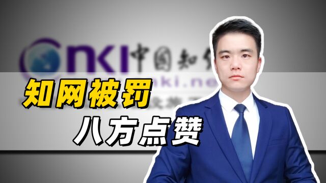 去年罚8760万,今年罚5000万,知网的毛病怎么这么多?