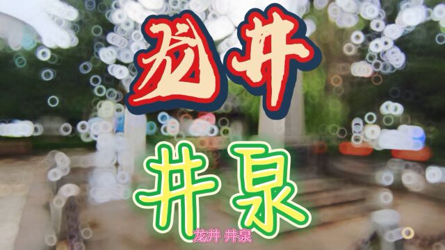 龙井 井泉 简单打卡 逛一逛