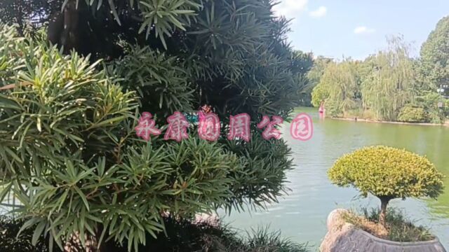 这个美丽的地方漂亮吗?在浙江永康.这里风景如画