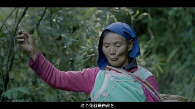 山海间 有答案|花田日记