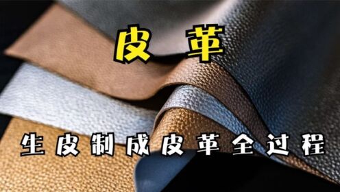 探访皮革加工厂,2分钟带你了解生皮被鞣制成皮革的制作全过程_高清1080P在线观看平台_腾讯视频