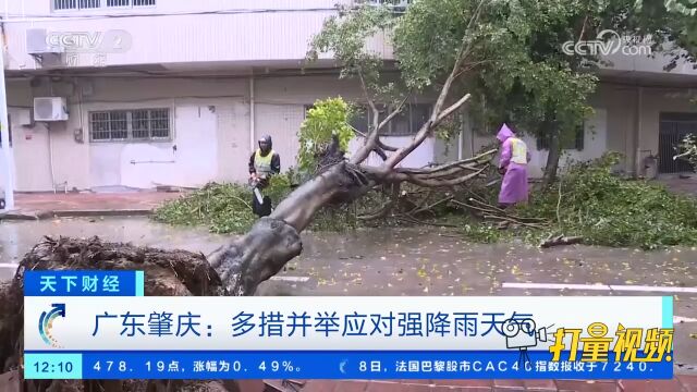 广东肇庆:多措并举应对强降雨天气