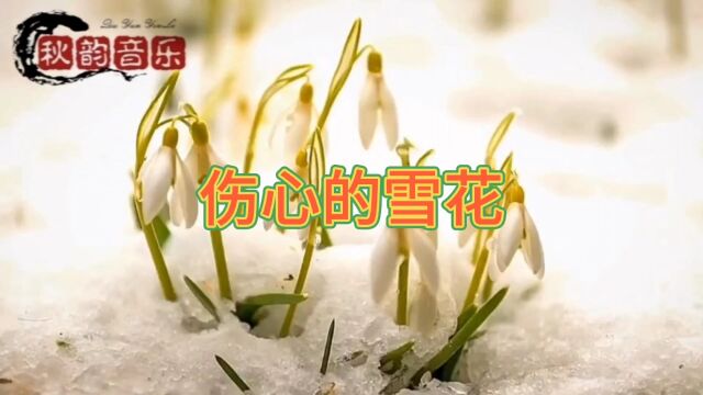 伤心的雪花