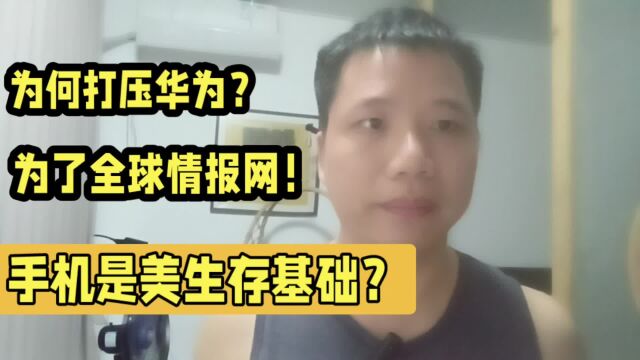 华为戳破了美国最大的优势:全世界最强大的情报网!这是生存基础?