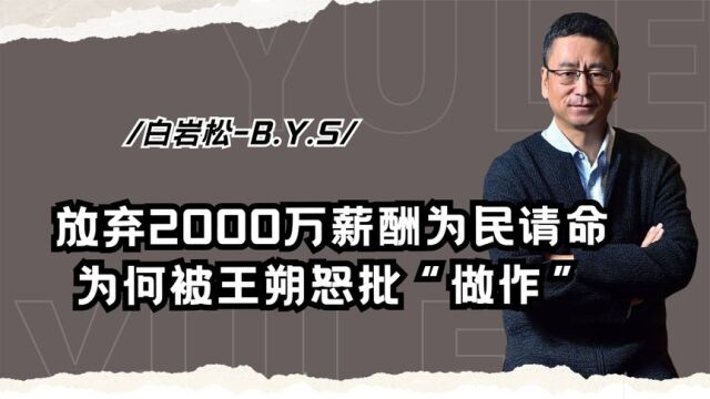 央视名嘴白岩松,放弃2000万月薪为民请命,为何被王朔怒批做作?