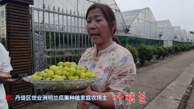 农场主叶明兰谈道路修好了给她家的水果种植带来的好处