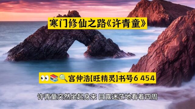 寒门修仙之路《许青童》分享超燃小说在线阅读○全章节