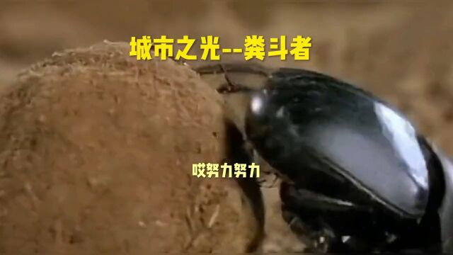 咋回事推不动了呢?