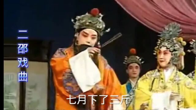 戏曲《打金枝》河北梆子戏,经典选段,唱功太棒了