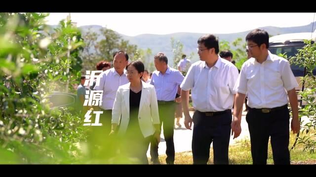 #为家乡代言 县委书记边江风向山东农业大学的专家教授在西里果园里推介沂源红!#山东 #淄博 #沂源红苹果