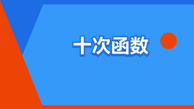 “十次函数”是什么意思?