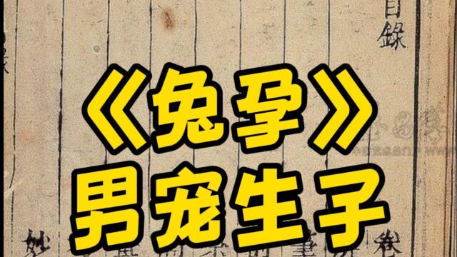 古代人爱看的话本小说:美男子为他的男主人生了一个儿子并继承了他的巨额财产