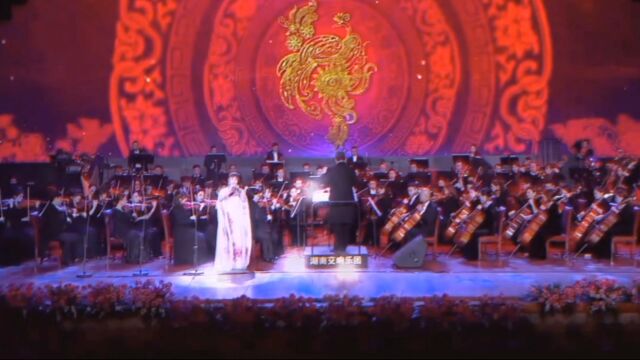 百鸟朝凤侯彦秋老师演奏完整版!