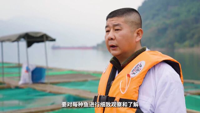 十年禁渔看长江 | 珍稀鱼类新生记