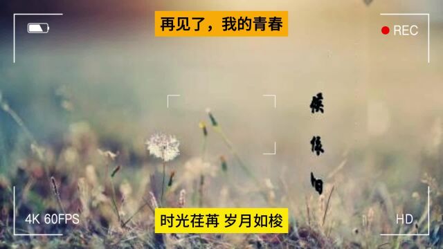 再见了,我的青春