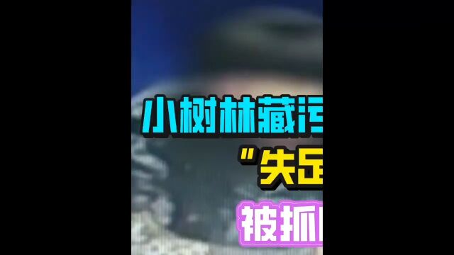 小树林藏污纳垢,“失足女”竟是男儿身,被抓时还握着对方的香蕉#纪实故事#真实事件#社会 1