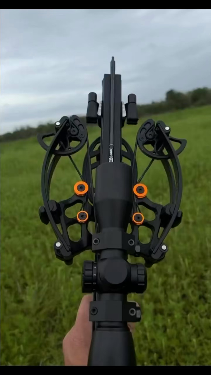 国外小款式复合弩合法拍摄pse僵尸猎手蝰蛇ss山猫120反曲弩曼巴军星