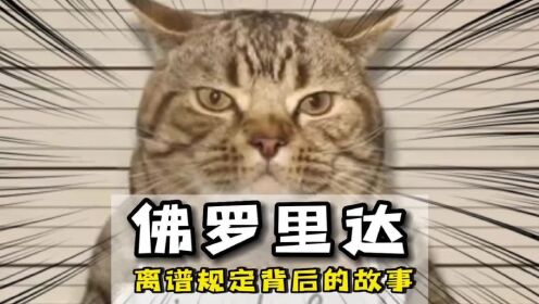 每个离谱的规定背后都有个更离谱的故事!#神操作#离谱#整活_高清1080P在线观看平台_腾讯视频